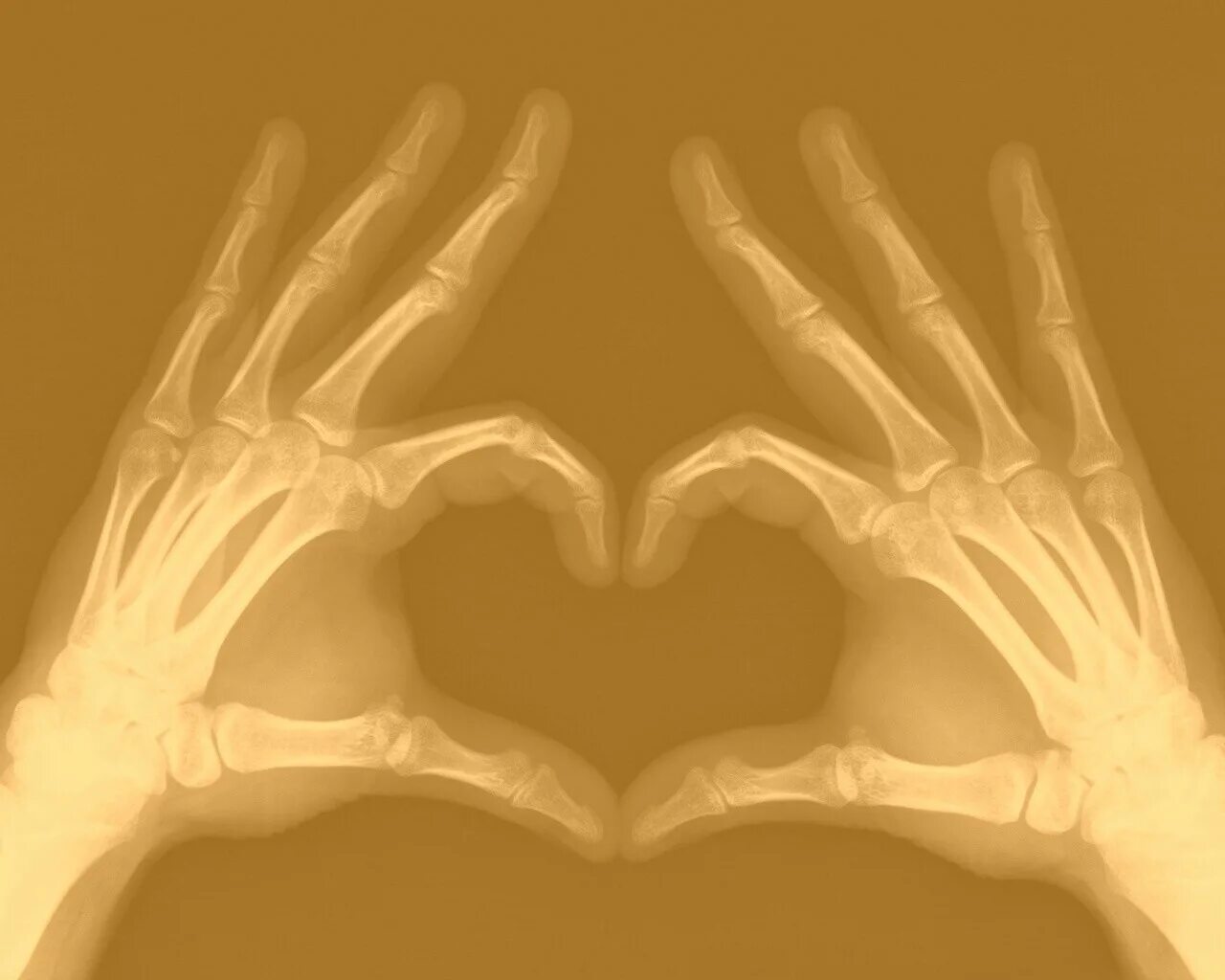 Скелет сердечко обои. Скелет сердечко обои. Скелет с крыльями. Скелет сердечко обои. Скелет сердечко обои.