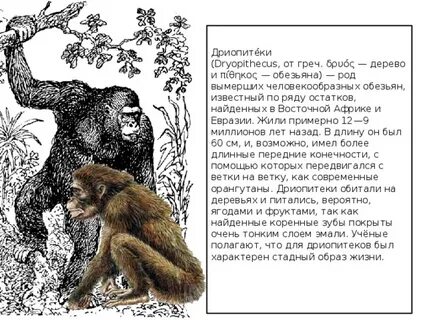 Исчезли род