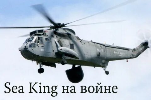 Sea king fish