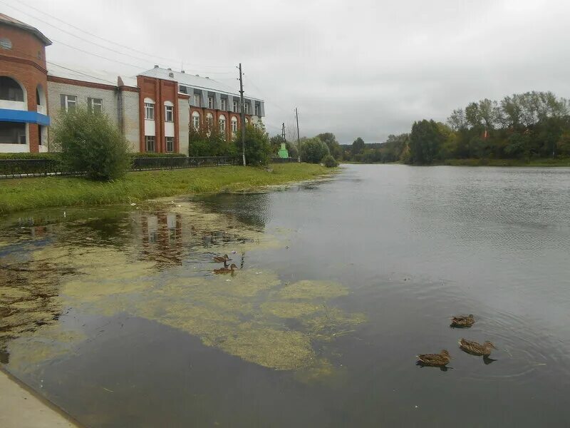 Работа город талица. Площадь в городе талица свердловской области. Город талица свердловская область. Город талица свердловская область население. О.