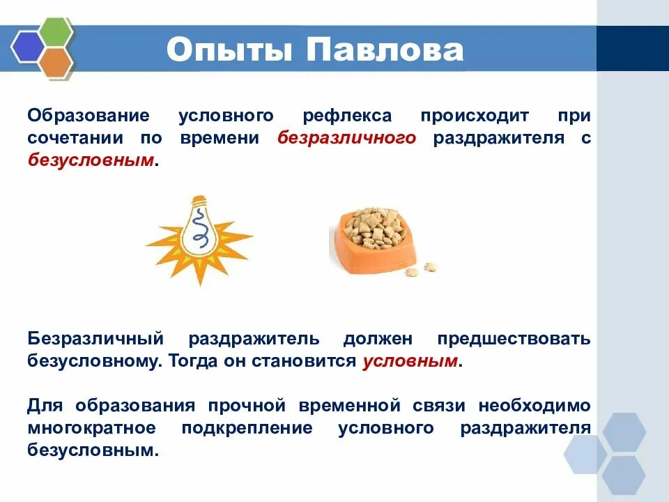 Подкрепление условного раздражителя безусловным. Опыт павлова образование условного рефлекса. безразличный раздражитель. регуляция пищеварения условный рефлекс. опыты на безразличный раздражитель.