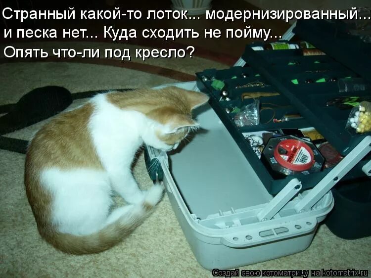 Слева раздавались какие. Слева раздавались какие