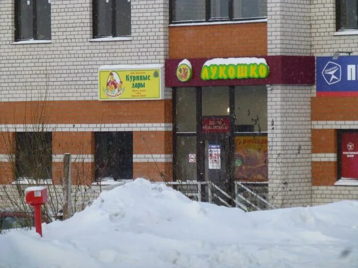 шекснинский 6