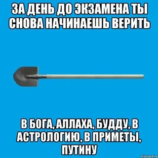 Верить экзамены