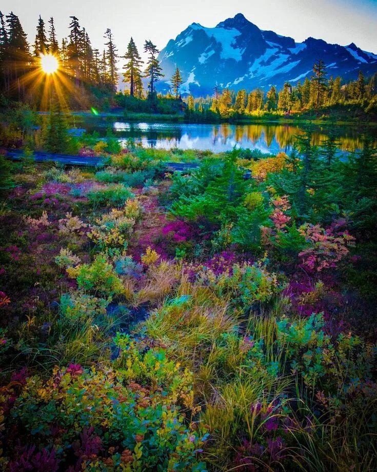 Красивая яркая природа. Красивый пейзаж. Яркая природа. Яркие краски природы фото. Красота природы.
