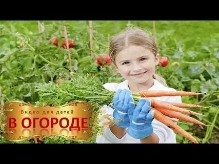 Видео малышам овощи