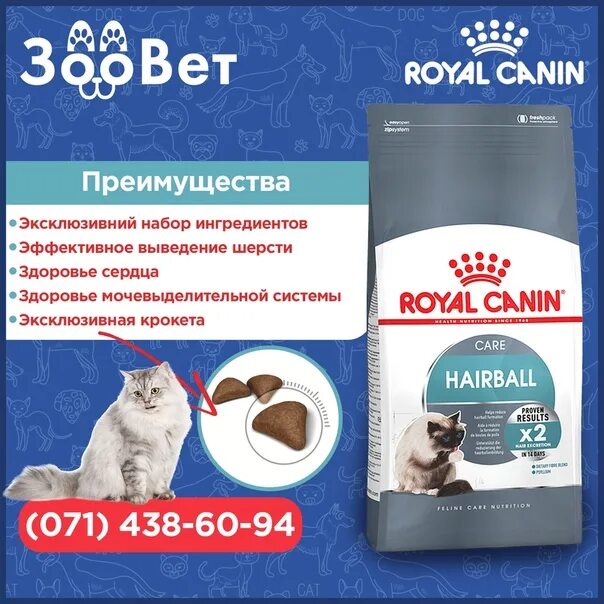 Корм для выведения шерсти из желудка. Роял канин для вывода шерсти для кошек. корм для выведения шерсти у кошек. роял с выводом шерсти. корм для выведения шерсти роял.