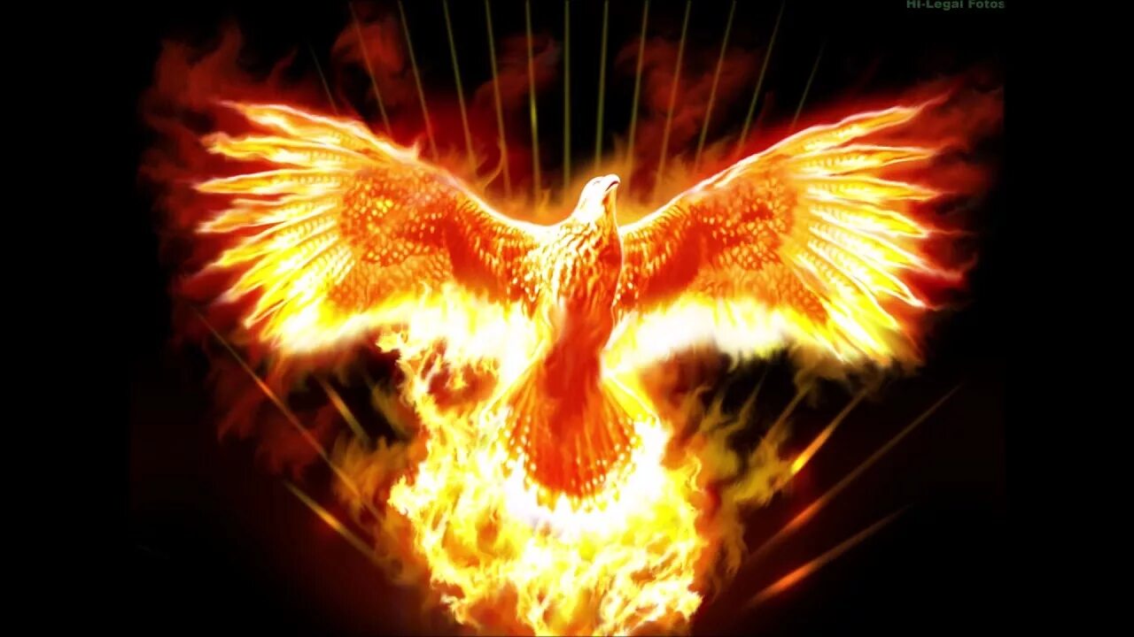Phoenix rebirth. Phoenix rebirth