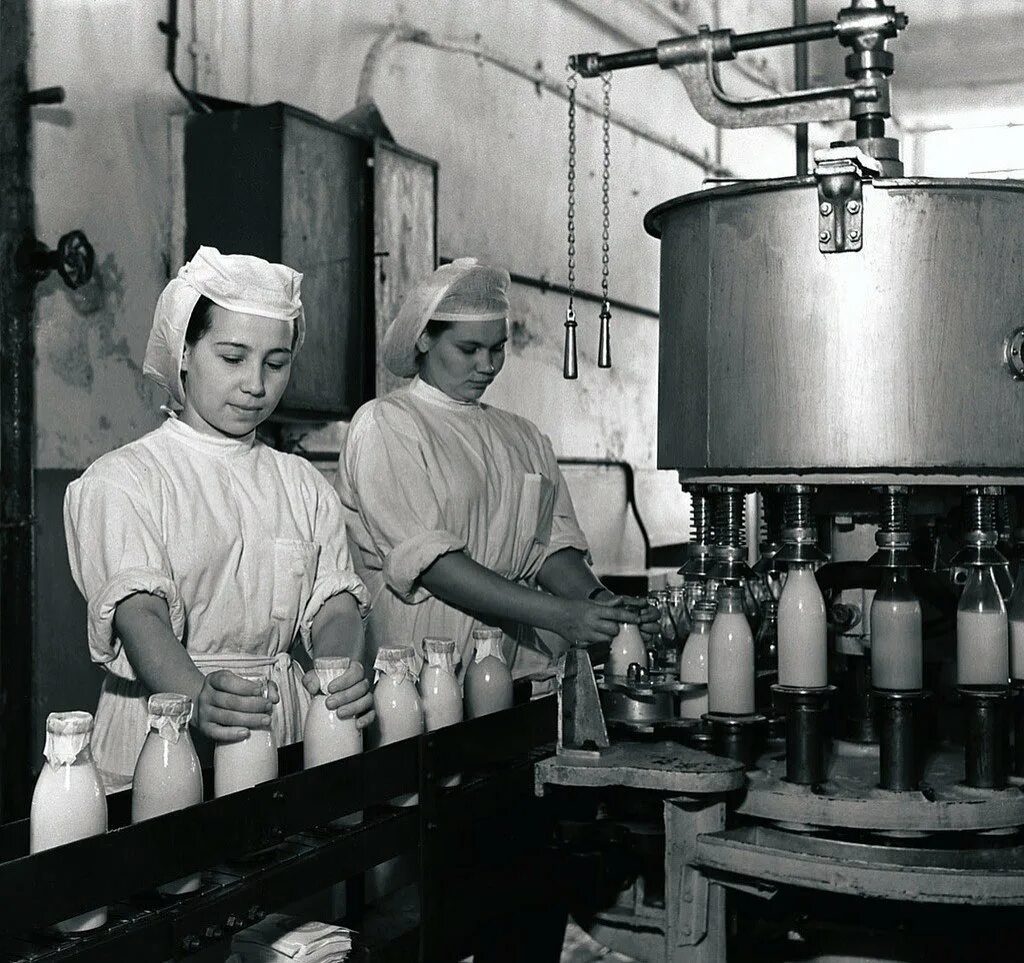 Молочная промышленность история. Молочная промышленность история. Энергосбережение молочной промышленности. Пищевая промышленность ссср. Молочная промышленность история.