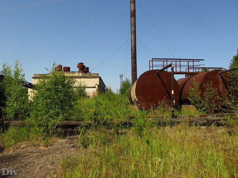 заброшки ладожская. орловский заброшенный бетонный завод. заброшка рославль бетонный завод. ладожский трудпоселок ваганово 2. завод ладога кировск.