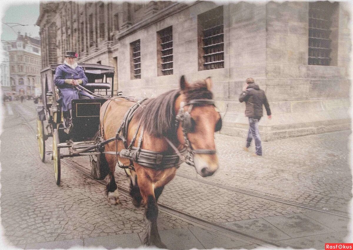 извозчик отвези меня домой. извозчик профессия. френц рудольф федорович 1831—1918. ямщик 19 век. нильс крюгер экипаж на зимней улице.