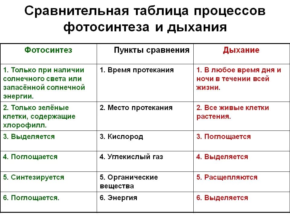 Сравнение фотосинтеза и дыхание таблица по биологии. Таблица по биологии 6 класс фотосинтез и дыхание. Фотосинтез и дыхание таблица биология 6 класс. Таблица фотосинтез и дыхание 6. Таблица сравнение процессов фотосинтеза и дыхания.