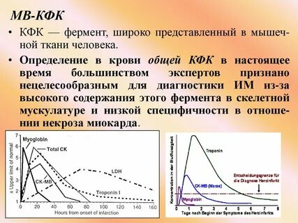 Креатинкиназа повышена