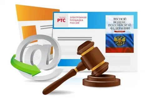 Аренда лесных торгов