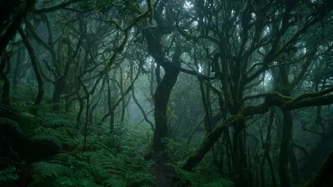 Musichub deep dark jungle extended mix