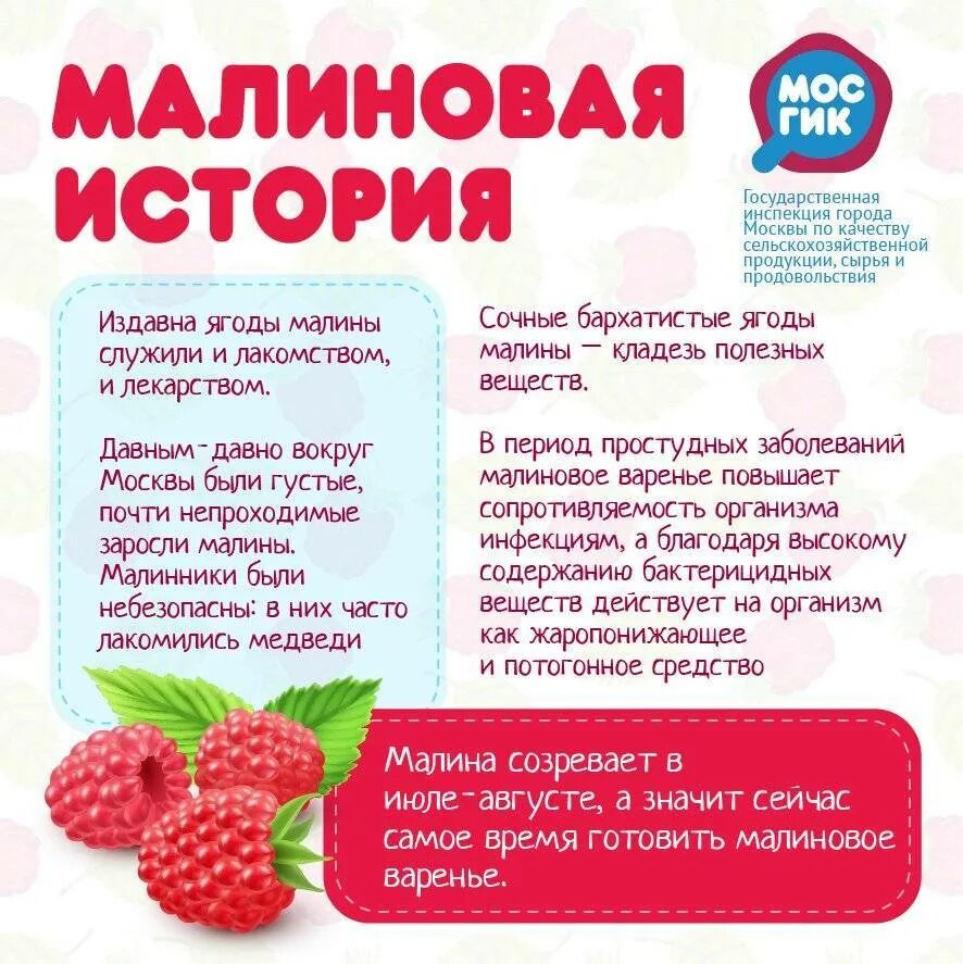 Витамины в ягоде малина. Малина состав. Малина калории. Малина садовая. Малина беременным.