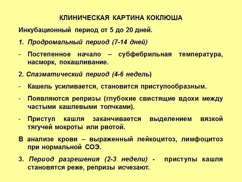 Кашель в течении 2 недель. Клинические симптомы коклюша. Характерные клинические проявления коклюша. Коклюш у детей клинические проявления. Клинические признаки коклюша.