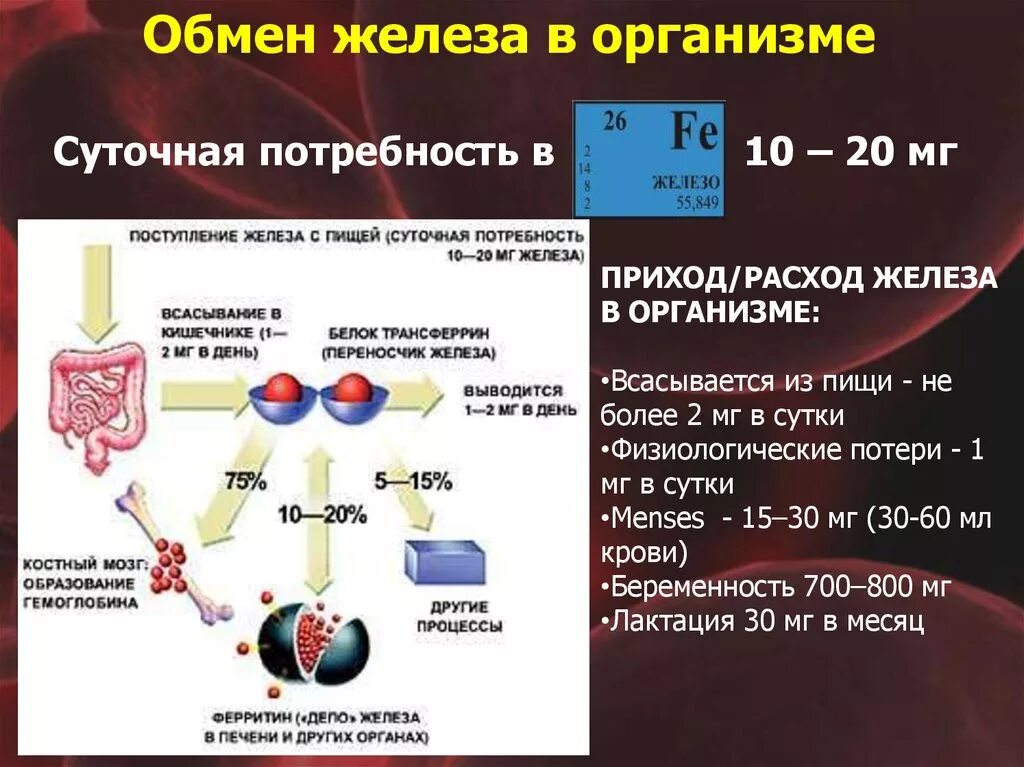 Для чего нужны железы в организме. Железо в организме. Суточная потребность железо в организме. Железы организма. Норма железа в организме.