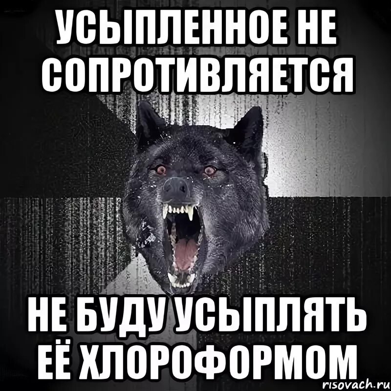Не сопротивляйся будешь моей читать полностью. Картинки сопротивляйся. сопротивляюсь мем. не сопротивляйся судьбе. сопротивляйся мем.