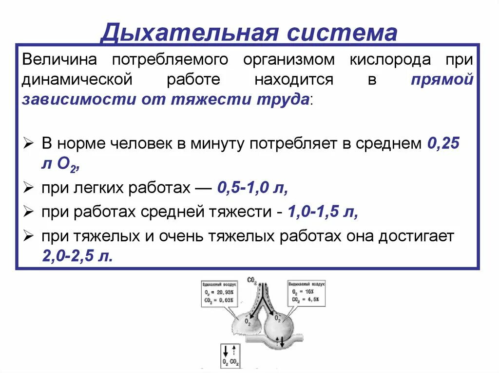 Сколько кислорода выдыхаемом человеком. Потребление кислорода человеком в минуту. Норма потребления кислорода человеком. Количество потребляемого человеком кислорода. Норма потребления кислорода человеком в минуту.