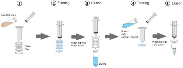 Spin columns. DNA Purification column. Колонки genomic DNA Filter columns. Sephacryl s-400 Spin column DNA Protocol. PREPFILER Forensic DNA Extraction Kits.