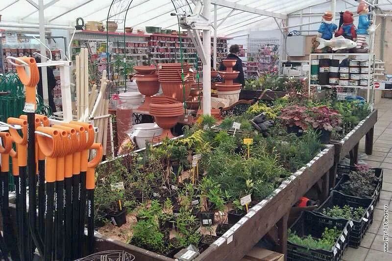 магазин садовод. выкладка семян в магазине. выкладка товаров для сада. отдел сад огород. садовый центр мкад 38 км.