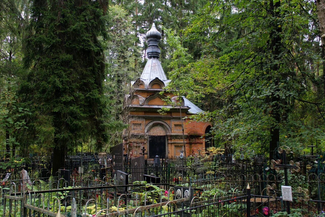 пушкино кладбища мамонтовское. ногинское кладбище старое. кладбище в ногинске. ногинское городское кладбище. кладбище в ногинске.