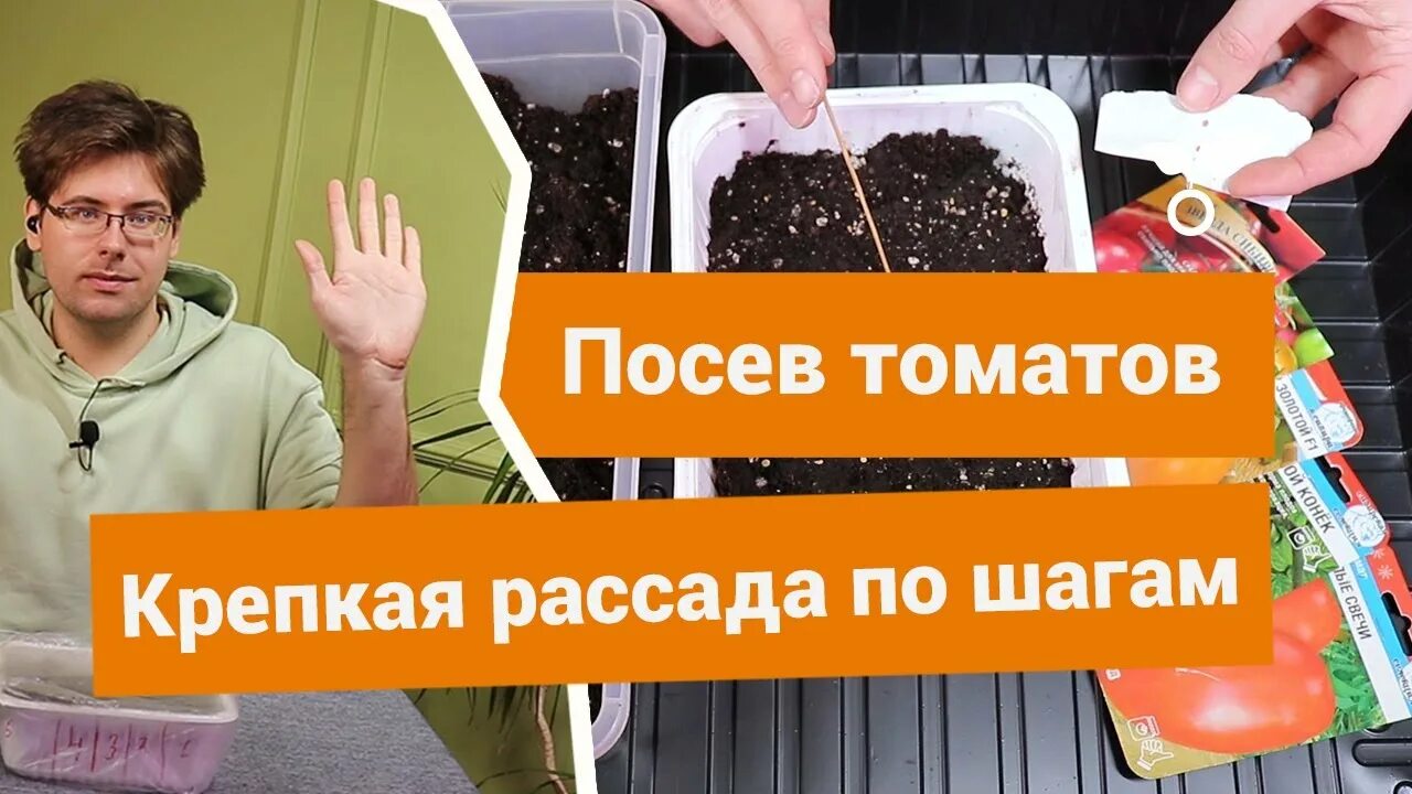 Посадка томатов на рассаду видео