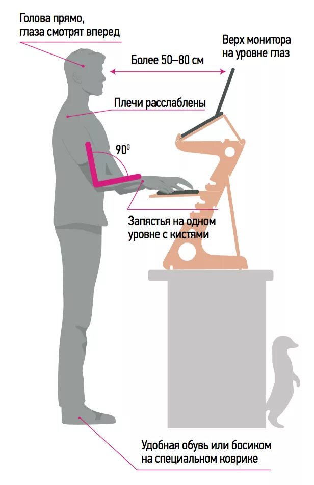 Как правильно должен стоять. Высота стола для работы стоя. Высота стола для стоячей работы. Рабочая высота для работы стоя. Высота компьютерного стола для работы стоя.
