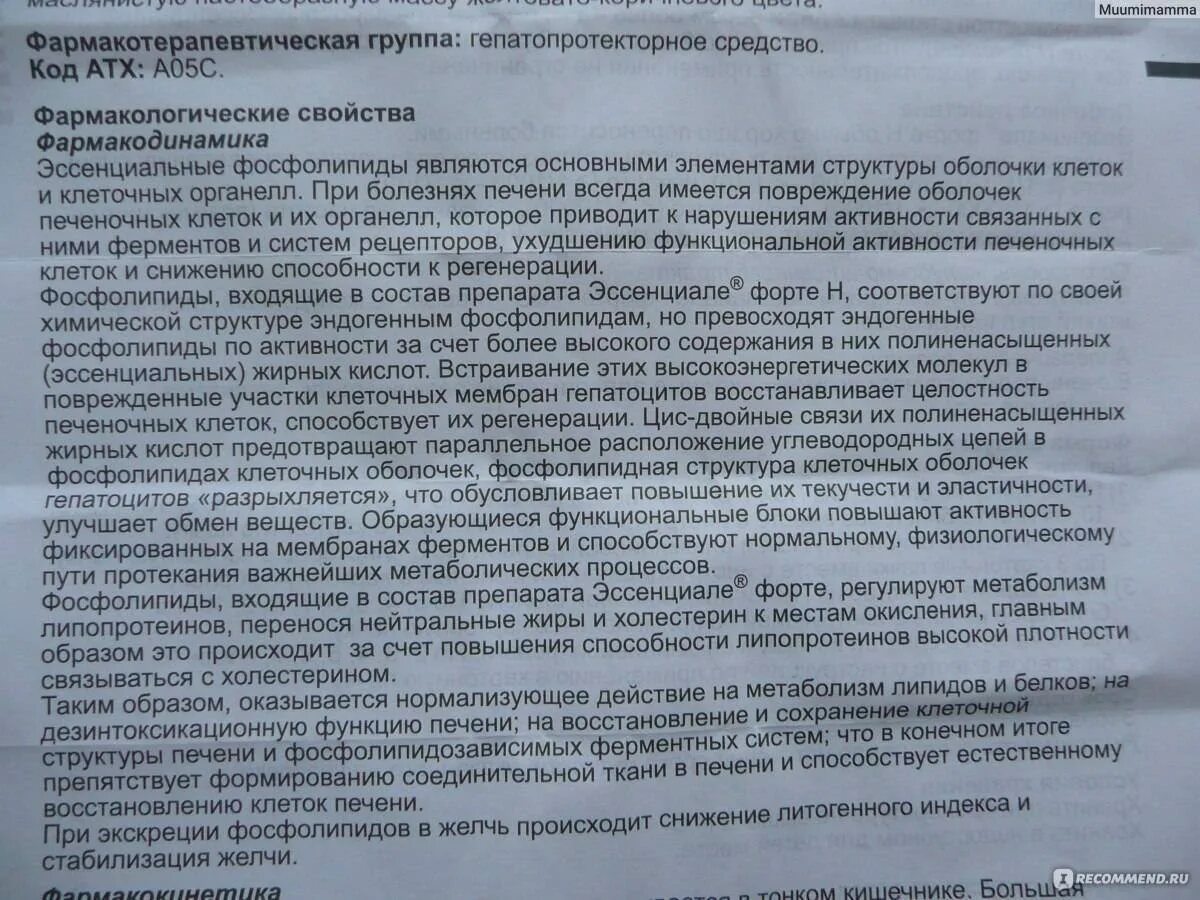 Эссенциале форте н капсулы инструкция по применению. Эссенциале-форте инструкция. таблетки от печени эссенциале форте инструкция. эссенциале форте фармакологическая группа. эссенциале показания.
