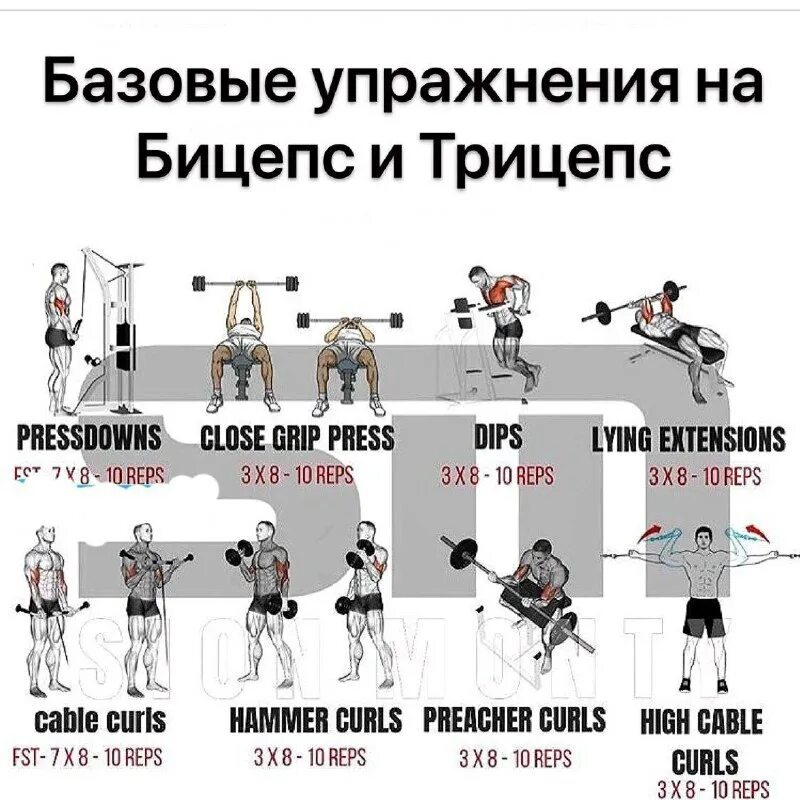 Приложение гантели. Упражнения на бицепс в тренажерном зале для мужчин. Упражнения на бицепс с гантелями для мужчин в тренажерном зале. Тренировка плеч в тренажерном зале для мужчин план тренировок. План тренировок в тренажерном зале в схеме.