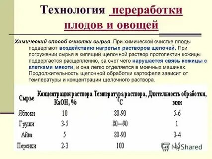Технология переработки овощи