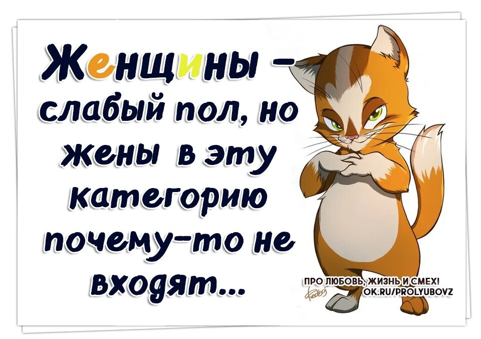 Смех и юмор. Про любовь жизнь и смех. прикольные картинки про жизнь. смешные картинки про жизнь. статус про смех.