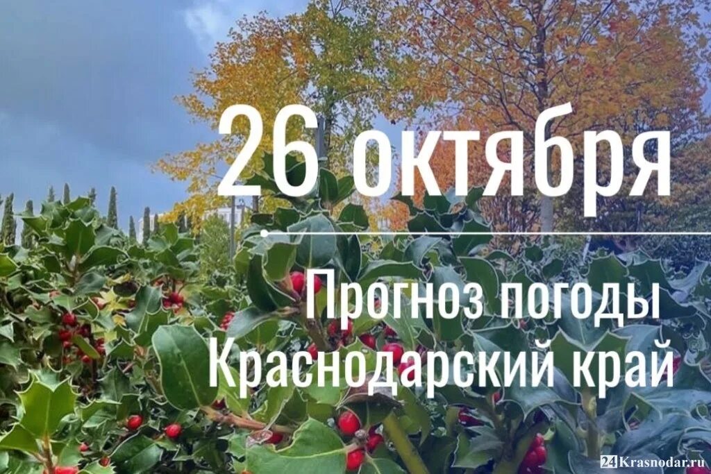 Даты 26 октября. 26 Октября. Доброе утро октября. Добрейшее утро октябрь. Добрый день 26 октября.