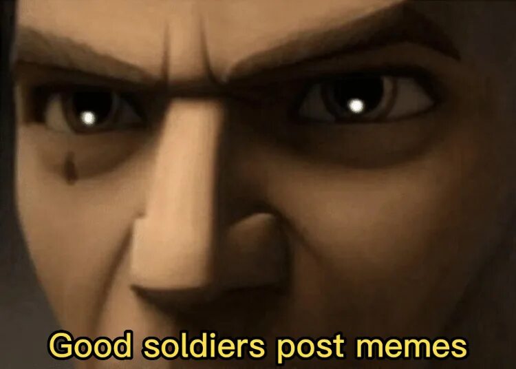 Follow my order. Good soldiers follow orders. good soldiers follow orders meme. follow orders good. the good soldier.