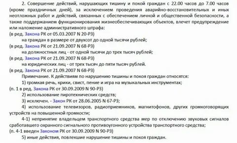 Нарушение тишины в новогоднюю ночь