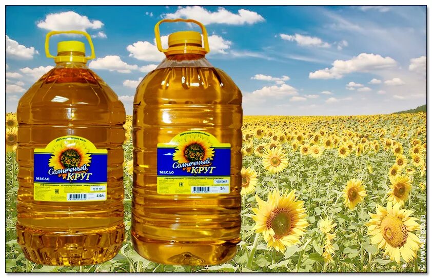 подсолнечное масло это жидкость. масло растительное реклама. подсолнухи маслом. подсолнечное масло это жидкость. масло подсолнечное нерафинированное.