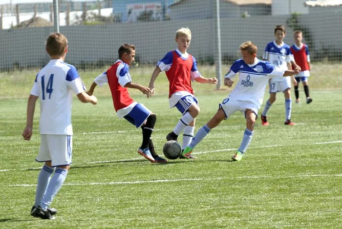 Сш витязь. Витязь подольск лого. Первенство краснодарского края по футболу 2010. Витязь варениковская 2008. Сш витязь.