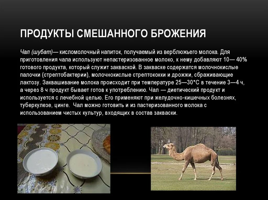 Молочнокислое брожение лактозы. Способы получения кисломолочных продуктов. Основы технологии производства кисломолочных продуктов. Продукты смешанного брожения. Продукты смешанного брожения молочнокислого.