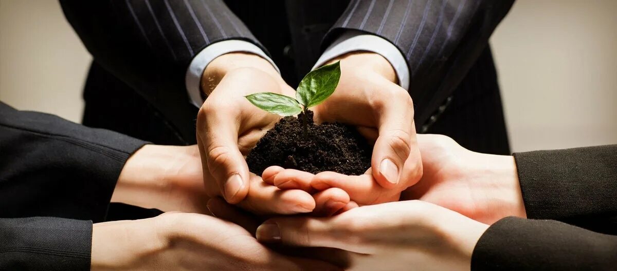 Корпоративная социальная ответственность. Ответственность. Ответственность рисунок. Перекладывать ответственность на других. Экологическая ответственность бизнеса.