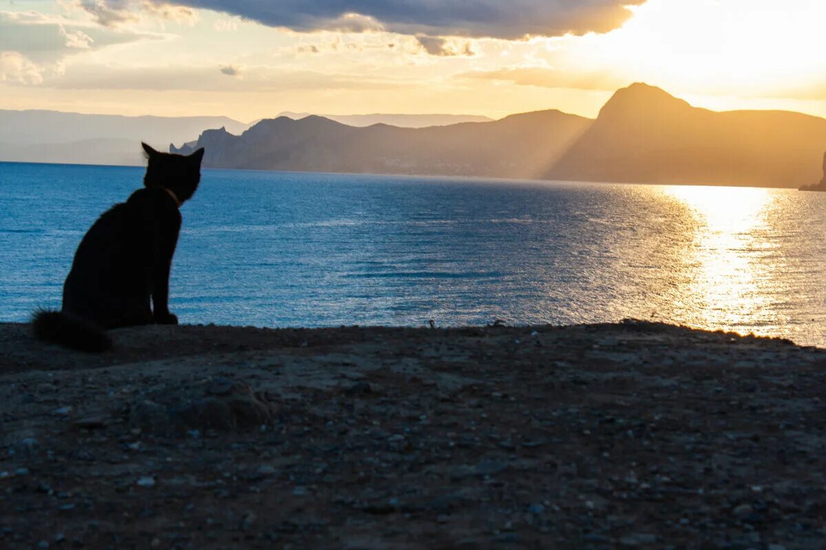 Ls740a purflux. Крымскотатарские кафе. Tefal jb1011e0. Дневник ани и сани дзен. Дневник ани и сани дзен.