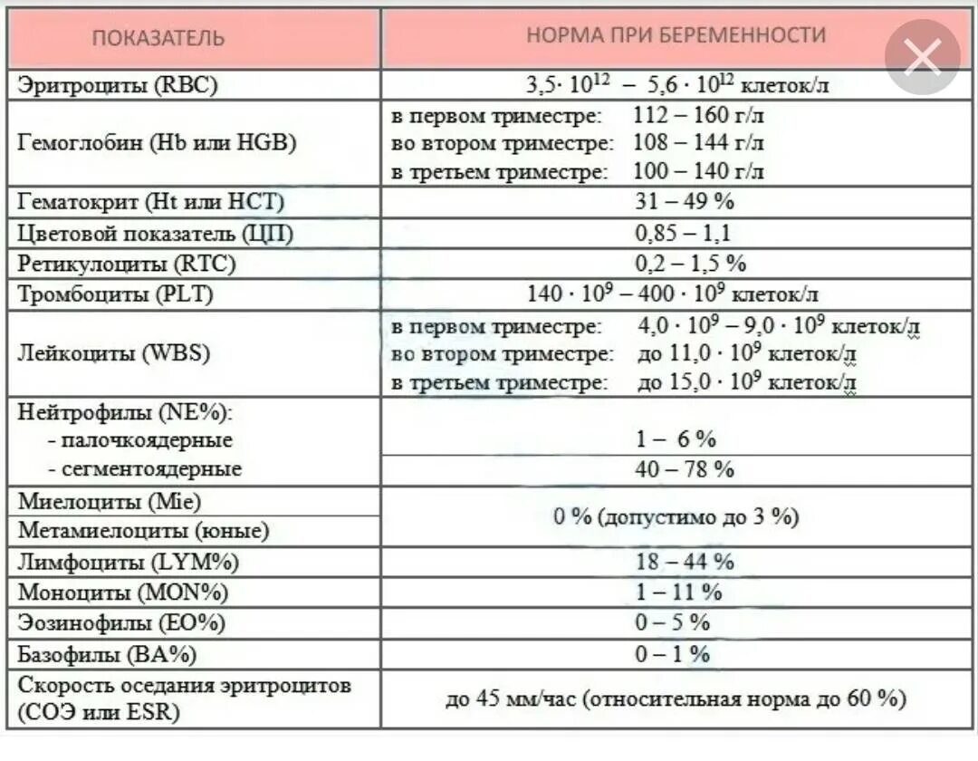 Сколько в норме должно быть соэ