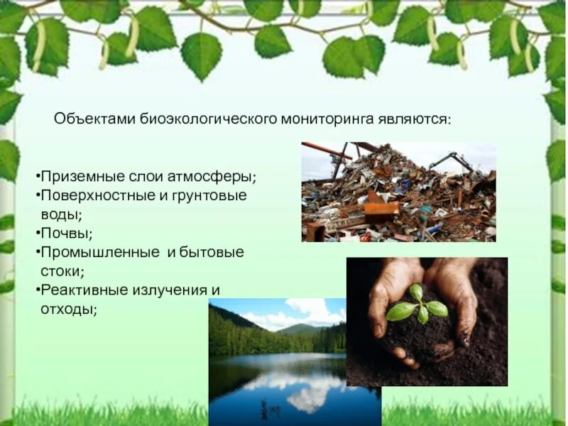 Правила поиска и анализа биоэкологической информации