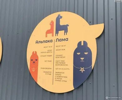 Парк альпак пача мама сочи