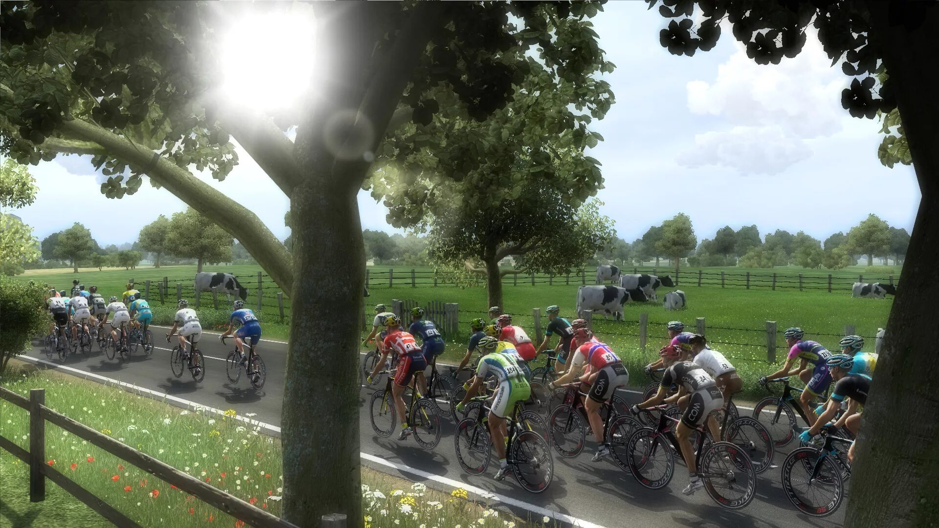 Pro Cycling Manager 2014. Pro Cycling Manager 2011. Игра cyclists. Guided Tour screenshot. Pro cycling