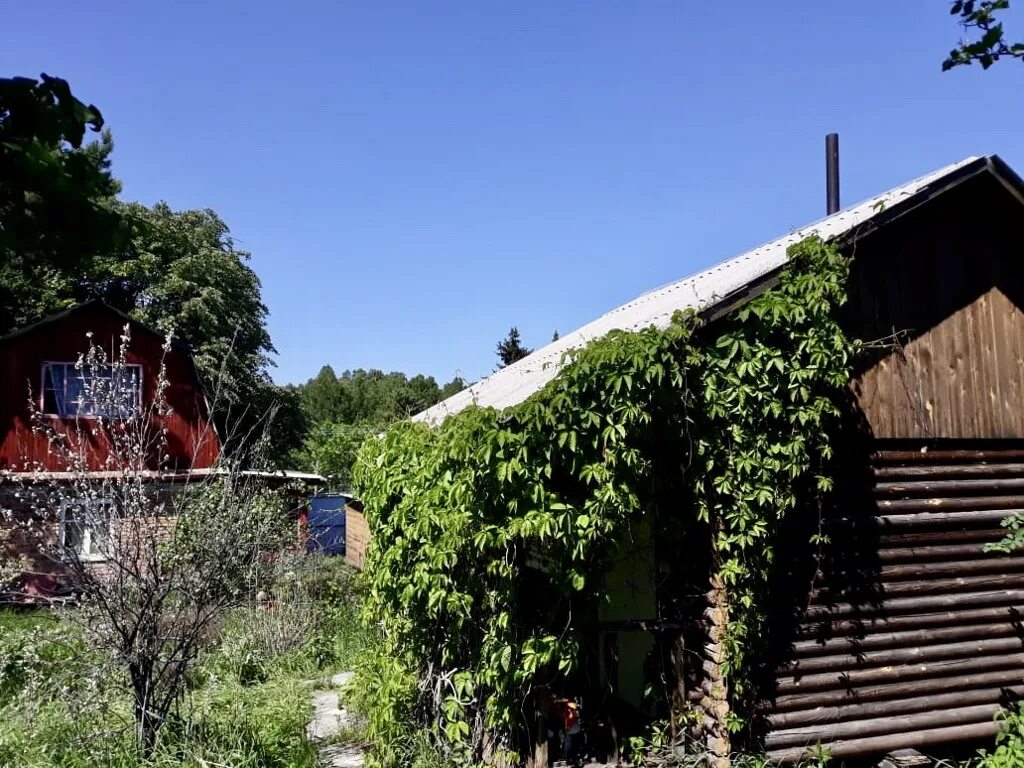 Снт каракуль. Снт ивушка нахабино. Снт ивушка. Ивушки дачный. Снт ивушка истра.
