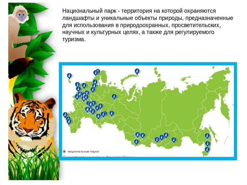 день заповедника и национального парка. день заповедников и национальных парков. всемирный день заповедников. стих про заповедник. 11 января день заповедников и национальных парков россии.