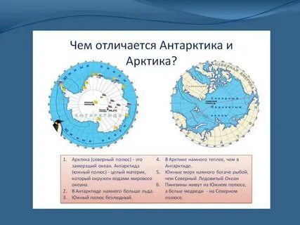 арктика и антарктика в чем разница