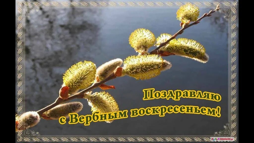 Поздравление с вербным воскресным. Вербное воскресенье поздравления. поздравить с вербным воскресеньем. вербное воскресенье позд. с вербным воскресеньем открытки.