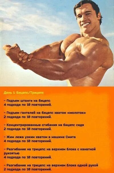 Подходы на бицепс. Тренировка трицепса. Программа тренировок на бицепс. Упражнения на бицепс в зале для мужчин. Бицепс.